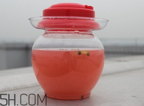 泡菜水能喝嗎？泡菜水的制作方法