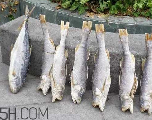 咸魚(yú)不能和什么一起吃？咸魚(yú)是什么意思