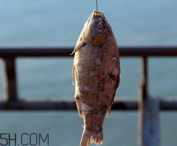 咸魚什么人不能吃？怎樣去除咸魚的咸