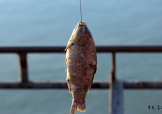 咸魚什么人不能吃？怎樣去除咸魚的咸