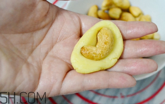 腰果是哪里的特產？腰果價格多少錢一斤