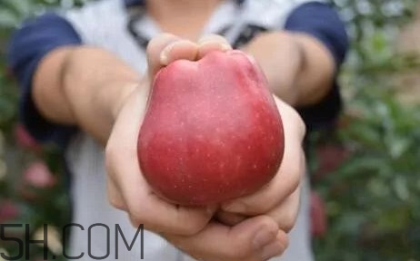 如何鑒別花牛蘋果？為什么叫花牛蘋果