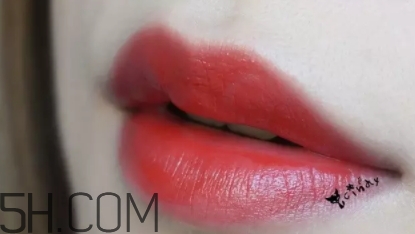 mac lady bug好看嗎？lady bug試色