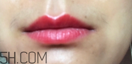 mac ladybug多少錢？mac lady bug專柜價(jià)格