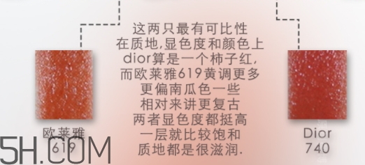 歐萊雅619和迪奧740像嗎？歐萊雅619秋葉和迪奧740對比
