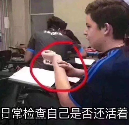 養(yǎng)生朋克什么意思？怎么做一個養(yǎng)生朋克？