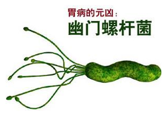 胃幽門螺旋菌陽性怎么辦？幽門螺桿菌能徹底治愈嗎