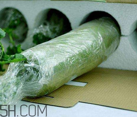 如何鑒別真假沙窩蘿卜？沙窩蘿卜怎么區(qū)分好壞