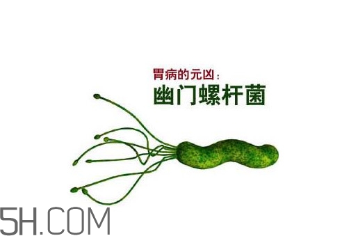 胃幽門螺旋菌陽(yáng)性怎么辦？幽門螺桿菌能徹底治愈嗎