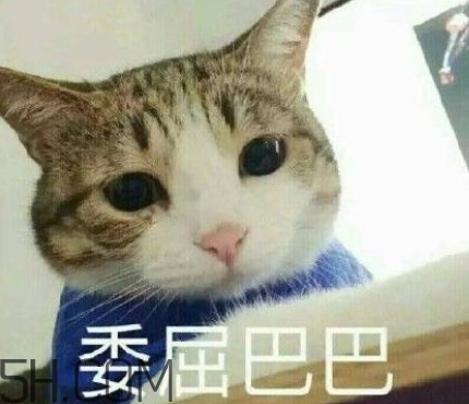 女人說失眠暗示什么？女生說失眠怎么回答