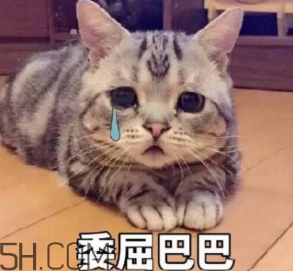 女人說失眠暗示什么？女生說失眠怎么回答