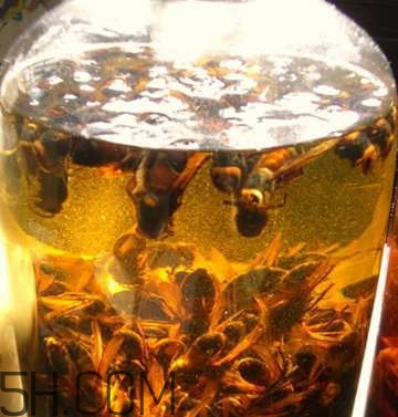 喝什么藥酒可以補腎壯陽？補腎壯陽藥酒什么時候喝好？