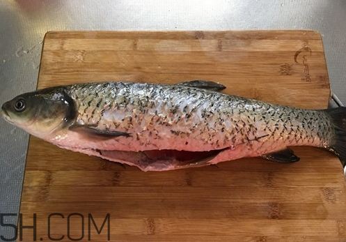 草魚(yú)死了多久不能吃 草魚(yú)死了還能吃嗎