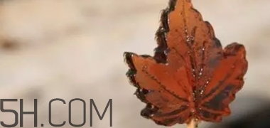 楓糖色口紅是什么顏色？楓糖色口紅試色