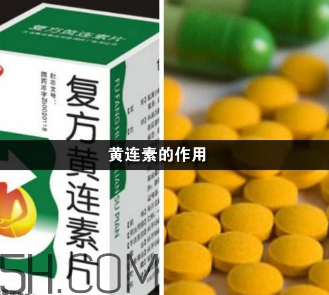 黃連素能降血糖嗎？黃連素能經(jīng)常吃嗎？