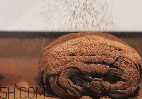 巧克力臟臟包怎么做？巧克力臟臟包的做法