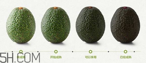 生牛油果可以放冰箱嗎？生牛油果怎么保存？
