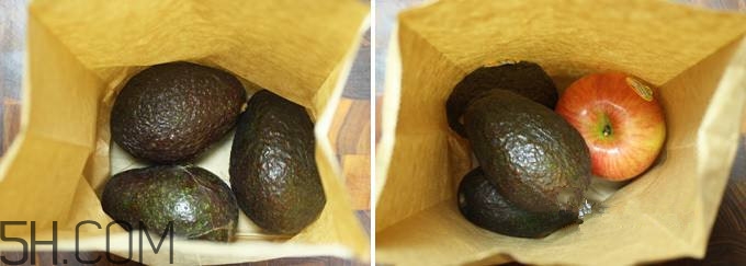 生牛油果可以放冰箱嗎？生牛油果怎么保存？