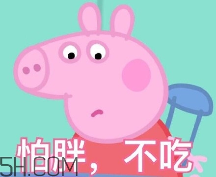 豬精女孩健康養(yǎng)生指南有哪些？豬精女孩健康養(yǎng)生指南是什么？