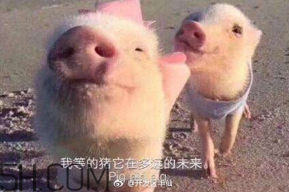 豬精女孩健康養(yǎng)生指南有哪些？豬精女孩健康養(yǎng)生指南是什么？