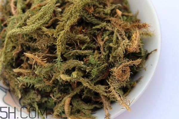 什么是伸筋草？伸筋草的功效與作用是什么？