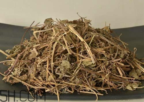 什么是透骨草？透骨草的功效與作用是什么？