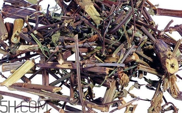 艾葉草洗澡有什么好處？怎么挑選艾葉草？