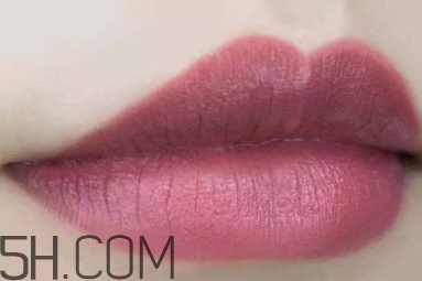 mac twig和brick o la一樣嗎？mac twig和brick o la試色對(duì)比