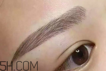 紋眉后還用畫眉嗎？紋眉后還會長眉毛嗎？