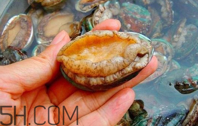 鮑魚(yú)怎么做好吃？吃鮑魚(yú)注意事項(xiàng)