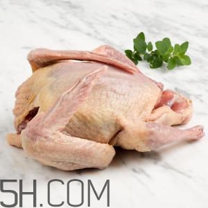 冬天吃什么肉好？冬天吃什么肉比較滋補身體？