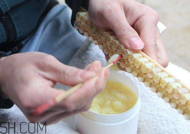 蜂王漿的營養(yǎng)成分有哪些？怎么辨別真假蜂王漿？