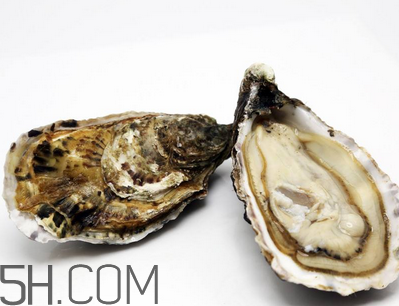 量吃生蠔有哪些好處？生蠔糖尿病人能吃嗎？