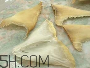 真假魚翅怎么辨別？魚翅的營(yíng)養(yǎng)價(jià)值