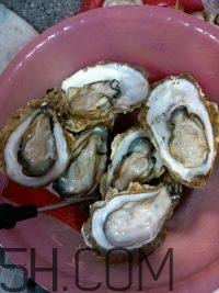 吃生蠔應(yīng)該注意哪些事項(xiàng)？生蠔與牡蠣的區(qū)別