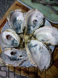 吃生蠔應(yīng)該注意哪些事項(xiàng)？生蠔與牡蠣的區(qū)別