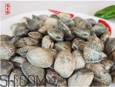花甲可以冷凍嗎？養(yǎng)花甲鹽和水的比例是多少？