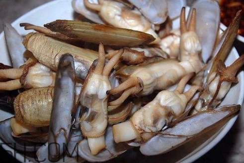 蟶子里面的黑色能吃嗎？蟶子為什么一撒鹽就出來？