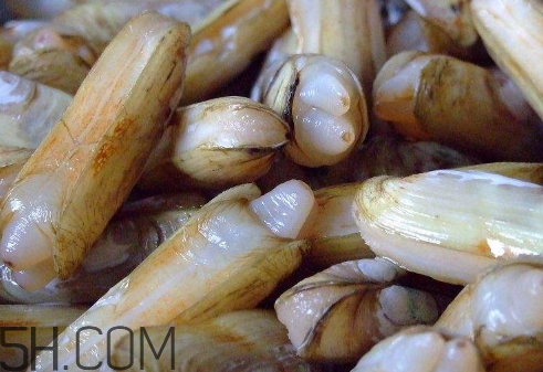 蟶子里面的黑色能吃嗎？蟶子為什么一撒鹽就出來？