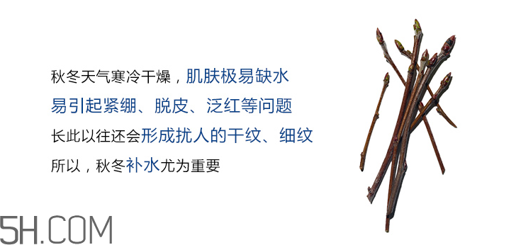 嬌韻詩恒潤(rùn)奇肌保濕面膜