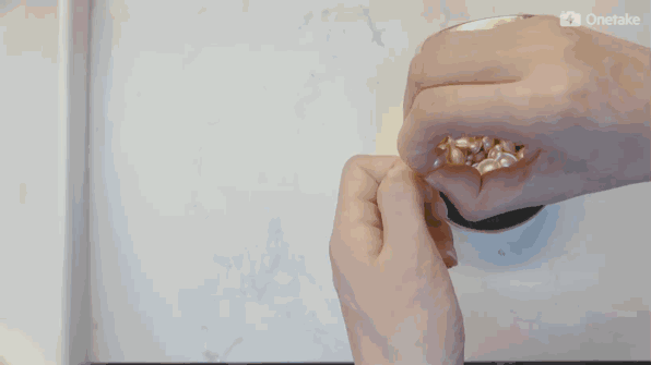雅頓金膠怎么打開？雅頓金膠膠囊怎么扭開？