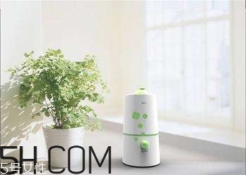 加濕器的使用誤區(qū)有哪些？加濕器的功能介紹