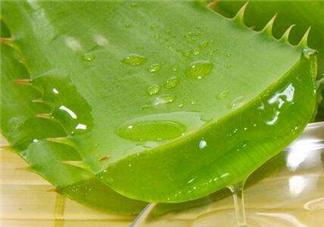 自然樂園蘆薈膠怎么用？自然樂園蘆薈膠使用方法