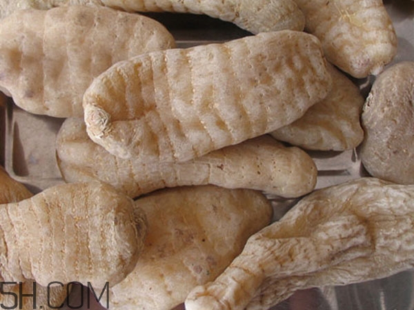 天麻能泡水喝嗎？吃天麻有什么作用？