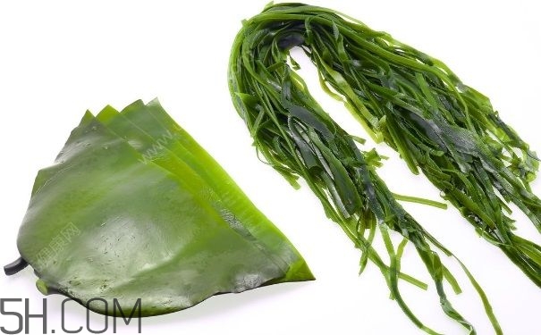 海帶的做法有哪些？怎么挑選優(yōu)質海帶？