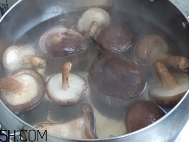 香菇和白蘿卜可以一起吃嗎？香菇和白蘿卜一起吃有什么好處？