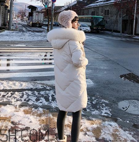 鵝絨羽絨服大概多少錢？白鵝絨羽絨服多少錢一件？