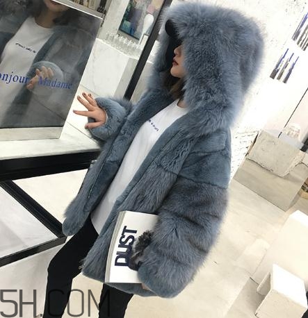 獺兔毛皮草一千元貴嗎？獺兔毛皮草2018年價格