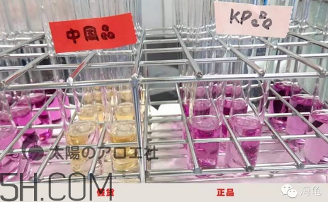 太陽(yáng)社玻尿酸孕婦能用嗎？怎樣辯別真假太陽(yáng)社玻尿酸？