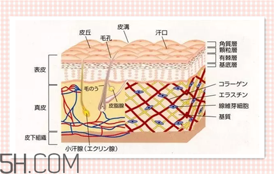 水光針可以祛斑嗎？涂抹式水光針的效果好嗎？